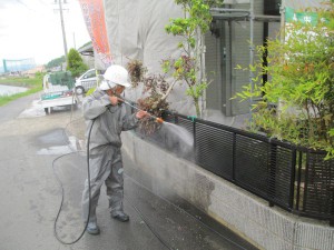 IMG_0765
