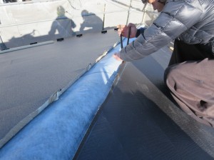 IMG_0162