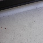 DSCN7861