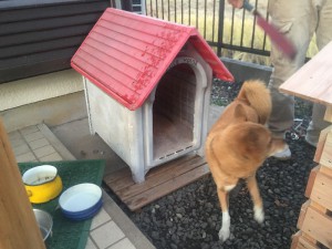 犬小屋作りました！！