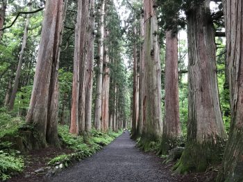 旅行に行ってきました