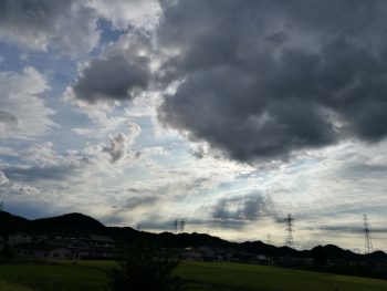 静岡で遊びました。