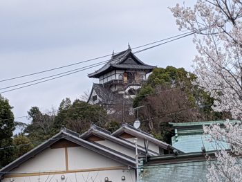 秋にリベンジを誓った犬山城