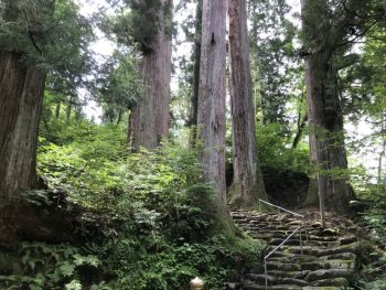 白鳥へ行ってきました