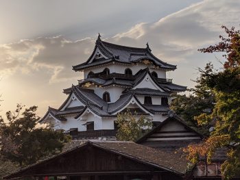 見惚れてしまう彦根城