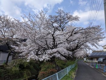 春が過ぎていく