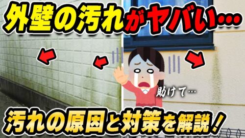 【雨筋・苔・藻・カビ】外壁汚れには何が効果的？予防対策を解説します！